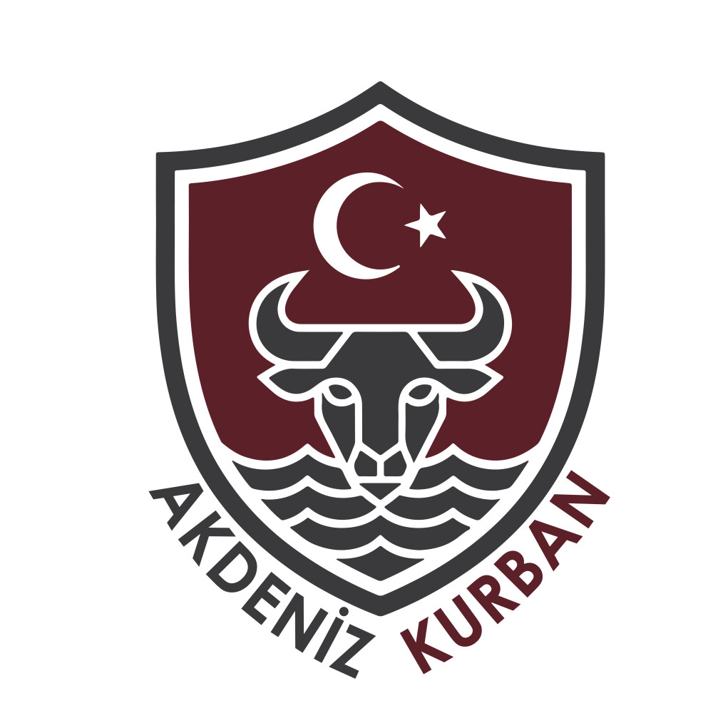 Tasarım #261