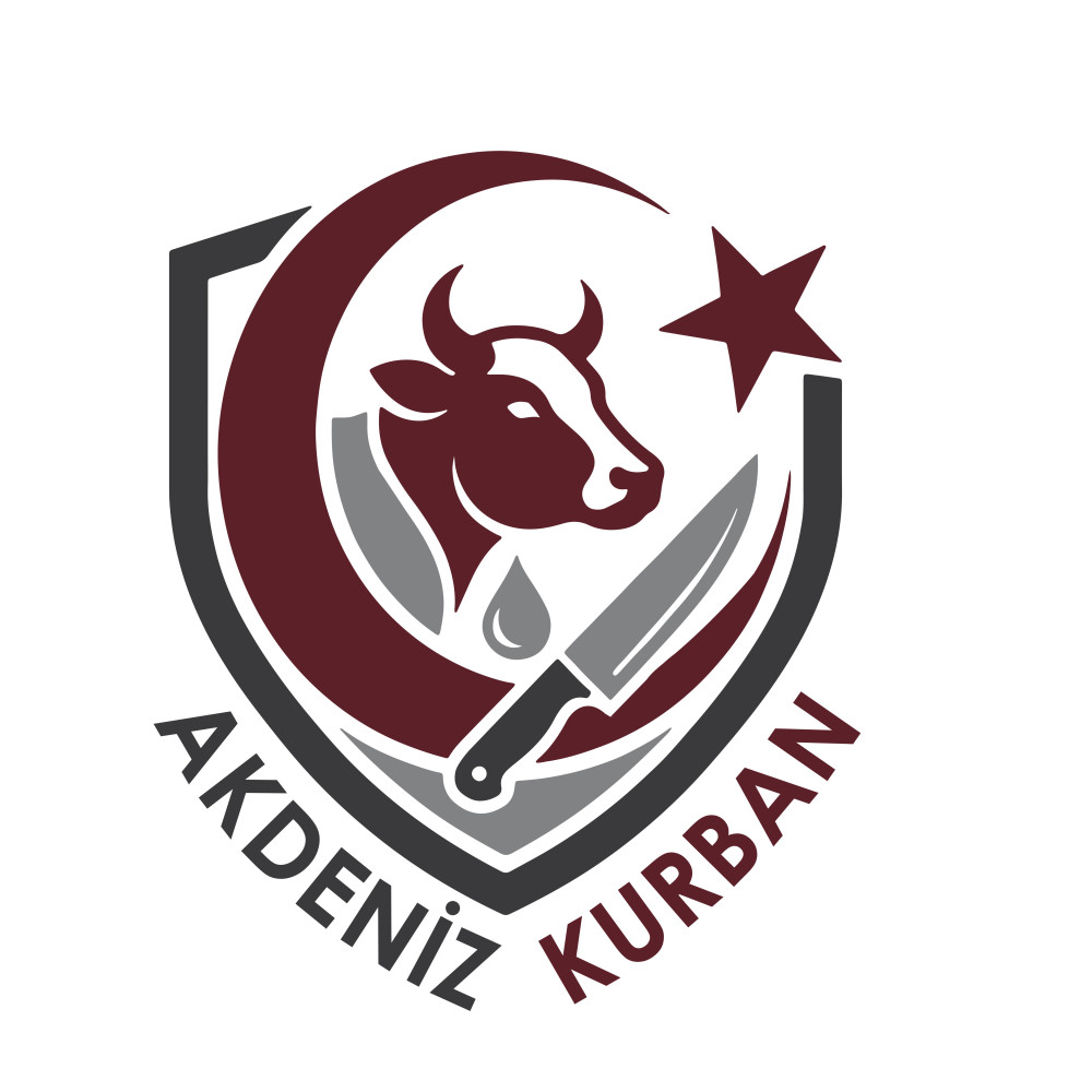 Tasarım #260