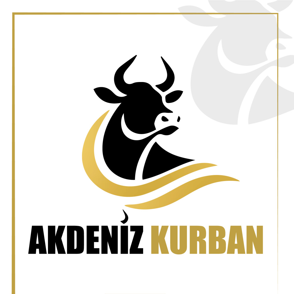 Tasarım #217