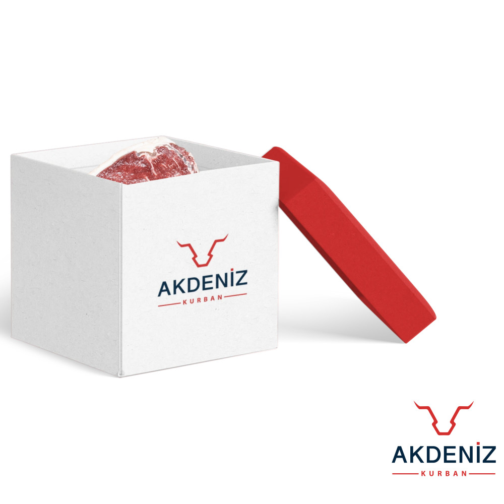 Tasarım #43